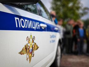 В полиции назвали самые распространённые преступления в Тольятти
