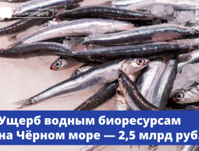 Вред, причинённый водным биоресурсам из-за крушения танкеров в Керченском проливе, оценили в 2,5 млрд рублей