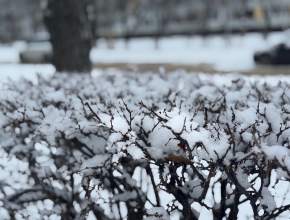 За окном 16 января! Какая погода ожидает тольяттинцев?