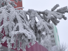 Настоящая зима вдруг наступила в Тольятти к середине февраля