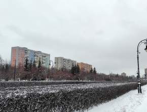 Какая погода в последний день года? Раскрываем данные синоптиков