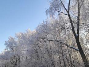 Какая погода ожидает тольяттинцев в последний понедельник января?