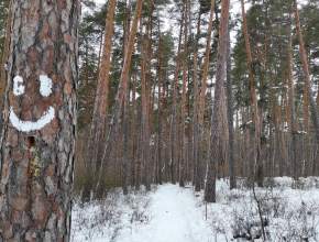 Соскучились по свежему снежку? Делимся прогнозом погоды