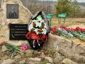 Будем помнить всегда! В Тольятти возложили цветы в честь дня окончания Первой Мировой войны