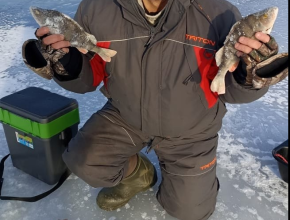 Викторыч на связи! Охота продолжается! Район Луначарского