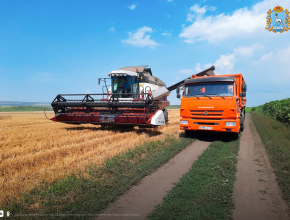 Вести с полей. Более миллиона тонн зерна намолочено в Самарской области