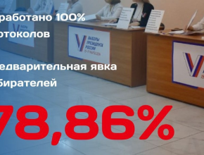 Итоги голосования в Самарской области. Явка составила 78,86%