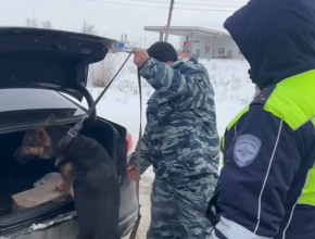 Сегодня в Самарской области полицейские проводят масштабное мероприятие «Профилактика»