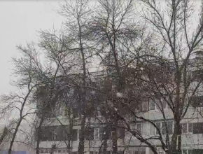 За 12 часов в Тольятти выпала месячная норма осадков