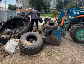 В Тольятти за июнь вывезли 5600 шин