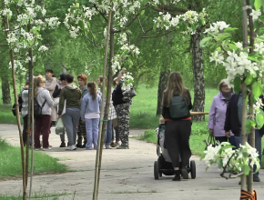 В память о героях. Сад защитников Отечества появился в Тольятти