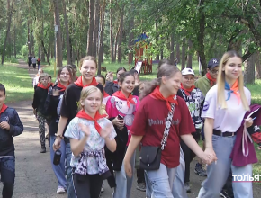 Лето в сосновом лесу на берегу Волги!  В детских оздоровительных лагерях в разгаре первая смена