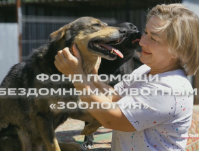 Гостями программы 