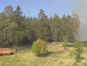 Жара даёт жару. Пожарные тушат низовой пожар в Узюковском лесничестве