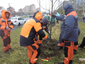 Экологическую акцию по высадке деревьев в Тольятти провели сотрудники компании «Т Плюс»