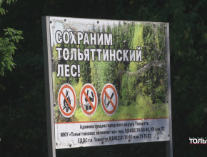 Вход и въезд запрещены!