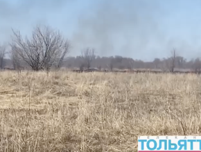 Пожар в Новом городе: горит поле 