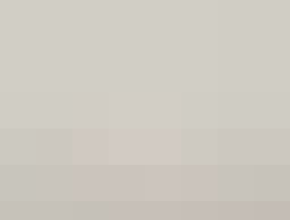 Чтобы помнили. В Тольятти проходят соревнования Самарской области по вольной борьбе памяти Героя России Андрея Соколовского и героев СВО