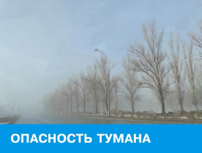 Ночью придёт туман. Жёлтый уровень опасности объявлен в регионе