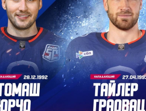 Список игроков хоккейной 