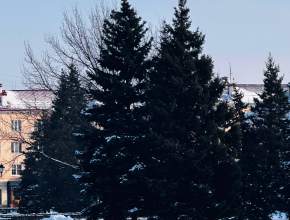 Как не замёрзнуть зимой: важная памятка по профилактике обморожений