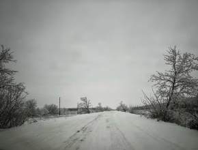 В регион заглянет сильный ветер: рекомендации от МЧС