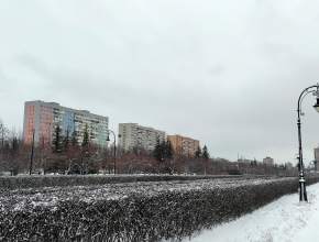 Когда в Тольятти вернутся морозы?