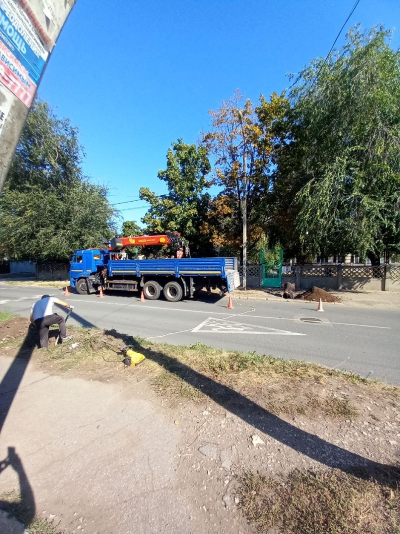 Водители не пропускают». В районе детсада «Соловушка» на улице Чапаева  появится пешеходный переход | 06.09.2023 | Тольятти - БезФормата