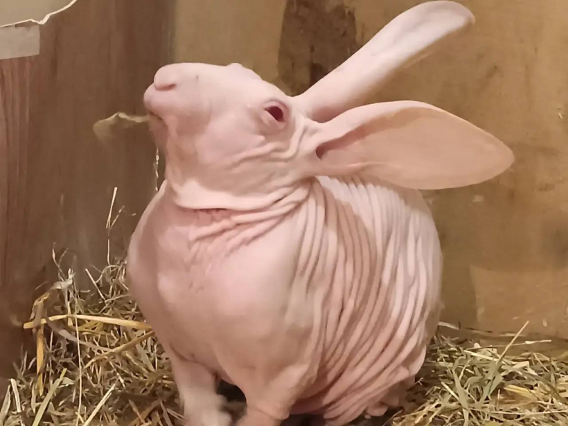 Галина Бажайкина специально для телеканала ТОЛЬЯТТИ 24